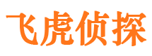 青羊市侦探公司